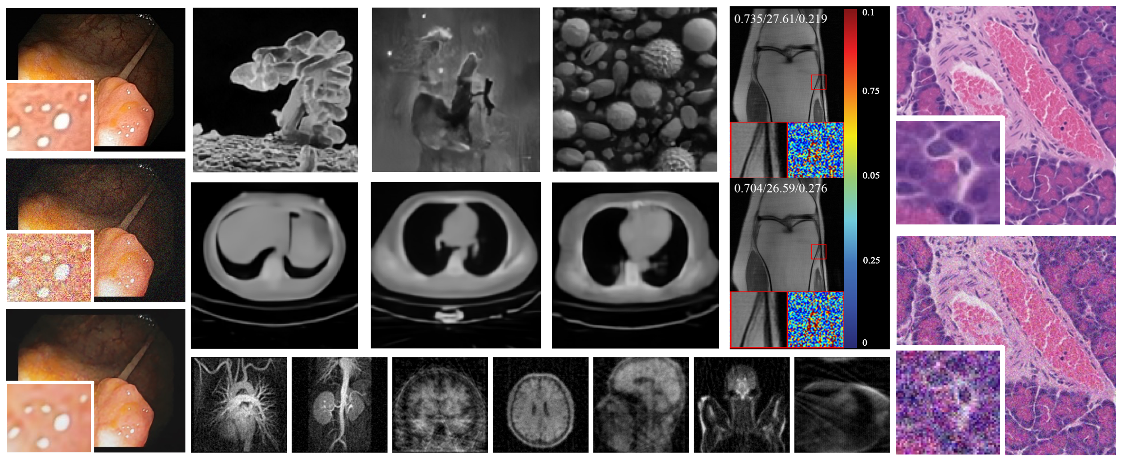 Join our Winter School